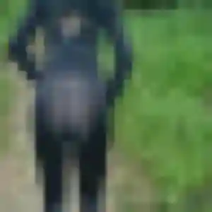 Melodie, 41 ans, en ligne à Acigné pour une rencontre coquine