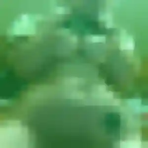Pascale, 31 ans, dispo pour rencontre sexy à Alençon