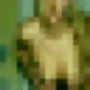 Contacte Celine, 31 ans à Arradon en privé