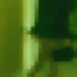 Photo de Delphine à Bassens (27 ans) - rencontre sexy sans inscription