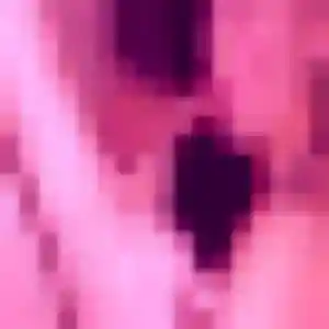 Pauline (24 ans) à Beaucourt propose un rencontre sexy maintenant