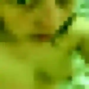 Photo privée de Morgane, 42 ans à Bétheny - rencontre sans lendemain
