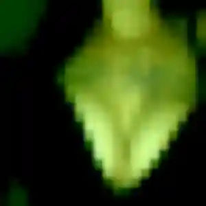 Ximena, femme de 28 ans propose rencontre sexy à Beuvrages