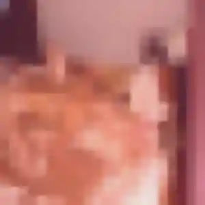Brune, 21 ans, en ligne à Bourg-lès-Valence pour une rencontre coquine