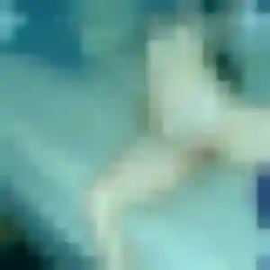 Photo de Apolline à Bréal-sous-Montfort (40 ans) - rencontre sexy discret