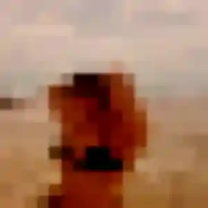 Profil de Zina à Bréal-sous-Montfort (42 ans) - rencontre sexy gratuit