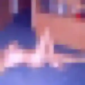 Rejoins Ornella, 25 ans à Buxerolles gratuitement
