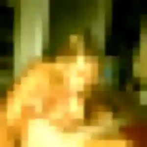 Photo exclusive de Vinciane, 44 ans à Chartres - rencontre sans lendemain