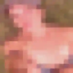 Henriette, 32 ans, cherche un rencontre sexy à Châteaudun