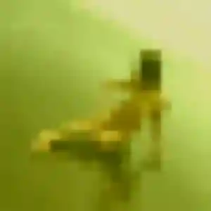 Sexy Celeste, 41 ans à Coulogne - découvrir son profil