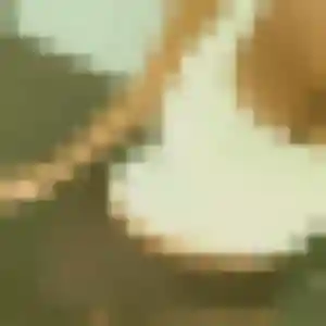 Dina, 37 ans, disponible à Courdimanche pour une rencontre coquine