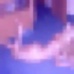 Photo de Leana à Cuincy (37 ans) - rencontre sexy discret