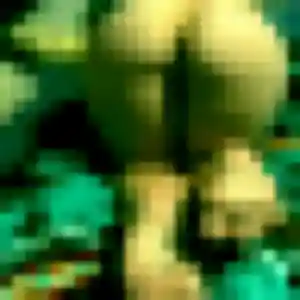 Photo privée de Noura, 26 ans à Dembeni - rencontre coquine