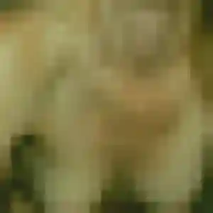 Karine, 37 ans, dispo pour rencontre sexy à Dives-sur-Mer