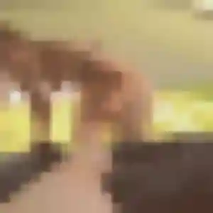 Viviane (30 ans) à Doullens cherche une rencontre maintenant