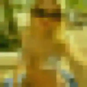 rencontre sexy à Fenouillet : photo de Alexandra, 31 ans - accès libre