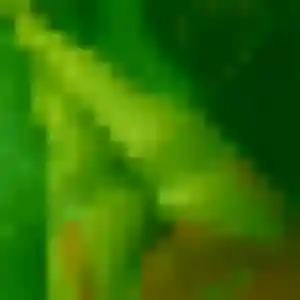 Contacte Sabine, 36 ans à Feyzin gratuitement