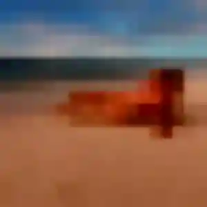 Janine (35 ans) à Fonsorbes cherche un rencontre sexy ce soir