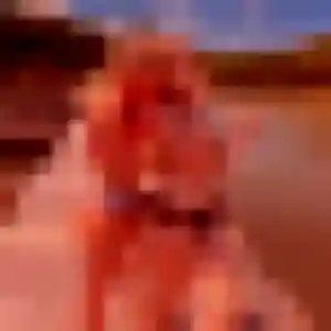 Profil de Gabrielle à Fontaine-lès-Dijon (41 ans) - rencontre sexy anonyme