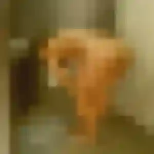 Profil de Marine à Gaillon (38 ans) - rencontre sexy anonyme