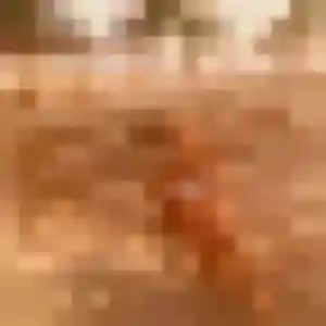 Contacte Paloma, 27 ans à Gardanne en privé