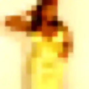Helene, 23 ans, connectée à Gentilly pour une rencontre coquine