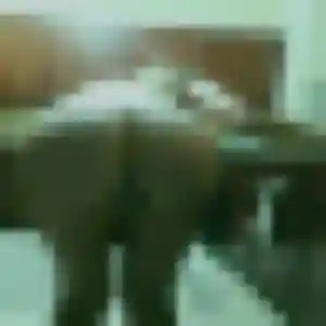 Charmante Agnes, 39 ans à Guilherand-Granges - la contacter