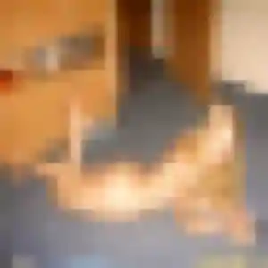 Photo perso de Sibylle, 26 ans à Haubourdin - plan discret