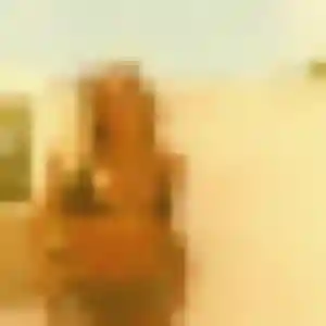 Prisca, 31 ans, veut un rencontre sexy à Issoire