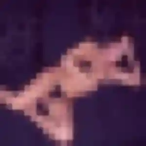 Sabrina de Istres, 45 ans - rencontre sexy sans lendemain