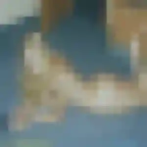 Ursule de Istres, 39 ans - rencontre sexy discret