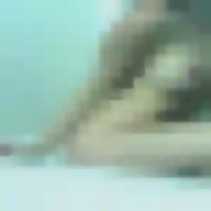 rencontre sexy à Le Mesnil-le-Roi : photo de Lisette, 29 ans - accès libre