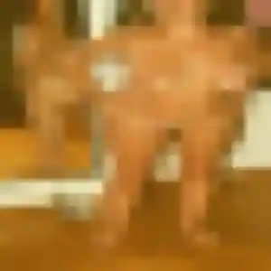 rencontre sexy à Le Mesnil-le-Roi : photo de Ornella, 35 ans - accès libre