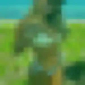 Photo privée de Camille, 20 ans à Le Port - plan discret