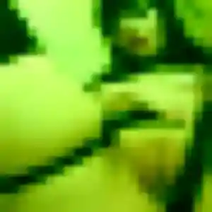 Photo privée de Lina, 24 ans à Lens - rencontre sans lendemain