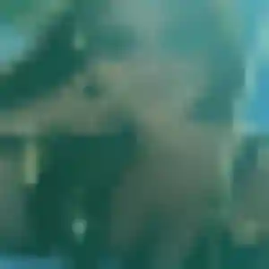 Honorine, 44 ans, cherche un rencontre sexy à Longué-Jumelles