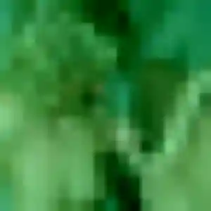 Marie-Line (40 ans) à Loos cherche une rencontre ce soir