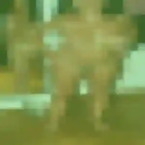 Uranie, 32 ans, connectée à Lyon pour une rencontre coquine