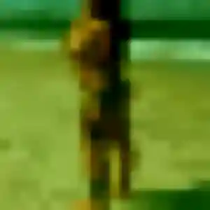 Photo de Colombine à Machecoul-Saint-Même (34 ans) - rencontre sexy gratuit