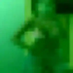Photo privée de Ghislaine, 42 ans à Mallemort - rencontre sans lendemain