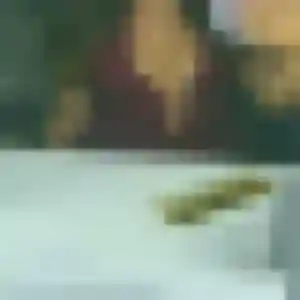 Contacte Ilona, 35 ans à Mallemort gratuitement