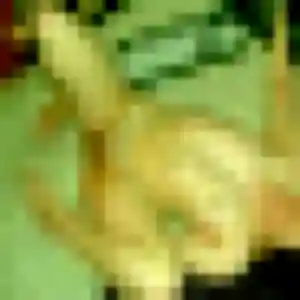 rencontre sexy à Marcq-en-Barœul : photo de Naomi, 36 ans - accès libre