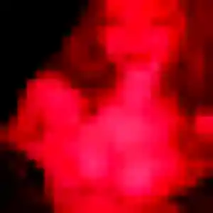 Clemence (36 ans) à Mazingarbe cherche un rencontre sexy maintenant