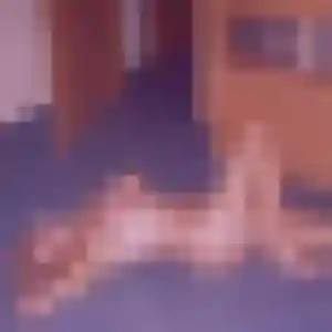 Ophelie, femme de 35 ans propose rencontre sexy à Montargis