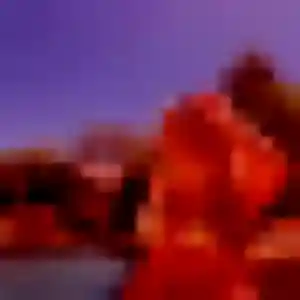 Laetitia, 39 ans, dispo pour rencontre sexy à Nort-sur-Erdre