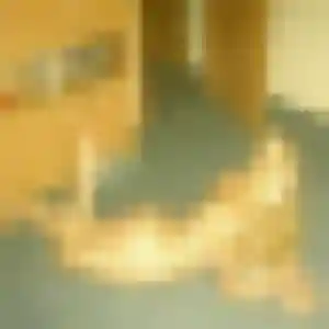 Romane (39 ans) à Nort-sur-Erdre cherche un rencontre sexy maintenant