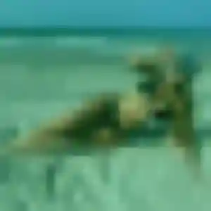 Lou-Anne, 26 ans, en ligne à Oraison pour un rencontre sexy