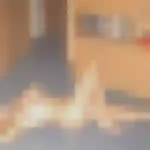 Gwenaelle (33 ans) à Pérenchies cherche une rencontre rapidement