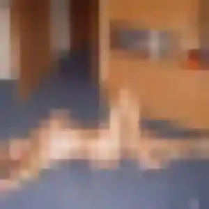 Edith, fille de 41 ans cherche rencontre sexy à Poussan