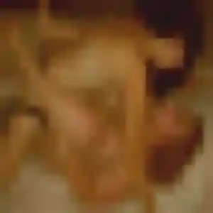 Photo sexy de Emmanuelle, 25 ans à Privas - rencontre coquine